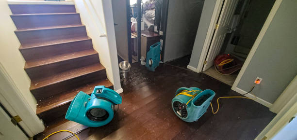Best Fire Damage Restoration  in Santa Rosa Valley, CA