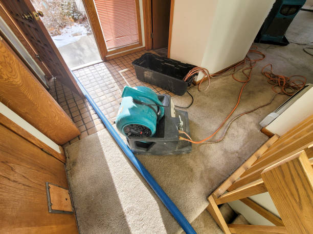 Best Ceiling water damage repair  in Santa Rosa Valley, CA