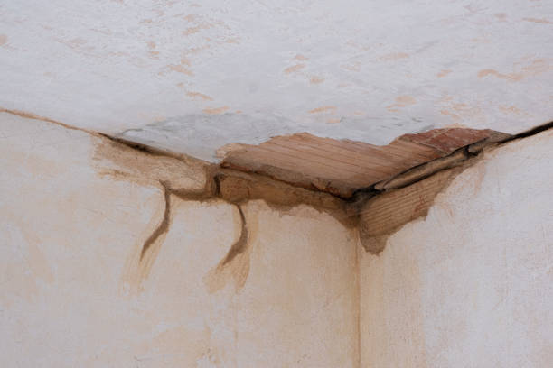 Best Flood restoration services  in Santa Rosa Valley, CA
