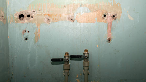 Best Water damage restoration mold remediation  in Santa Rosa Valley, CA