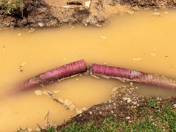 Local water damage restoration in CA