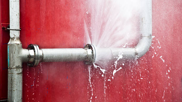  Santa Rosa Valley, CA Water damage restoration Pros